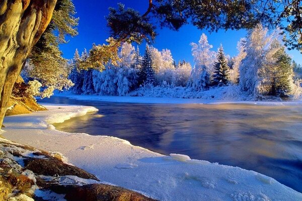 Gefrorener Fluss vor dem Hintergrund von schneebedeckten Bäumen