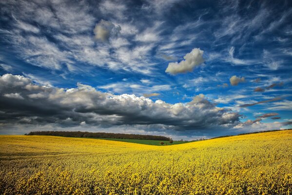 Nuages d orage sur le champ. Lment