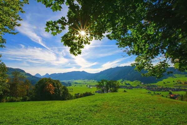 A sunny summer day in nature