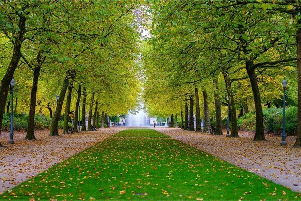 Alley on the border of autumn and summer