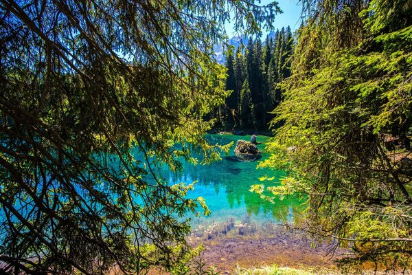 Lac bleu au milieu de la forêt