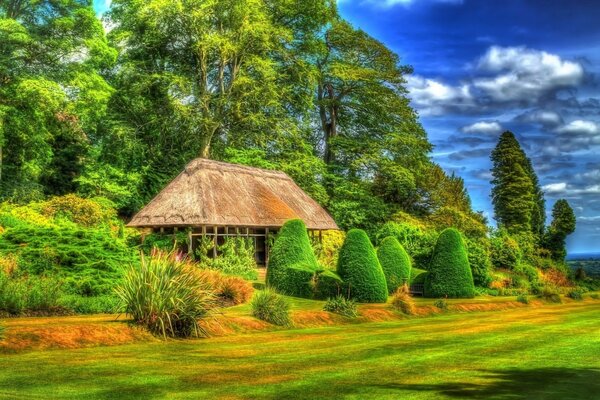 Maison d été dans l épaisseur de la forêt au sein de la nature