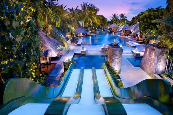 Green palm trees near the blue pool