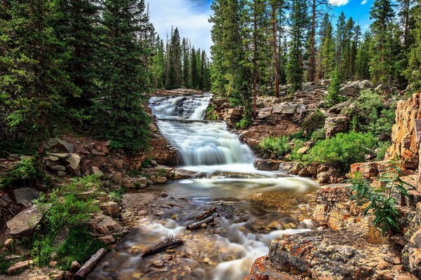 Ein Fluss inmitten des Waldes. Die Natur