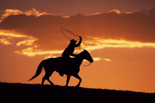 Silhouette of a cowboy on a horse with a lasso