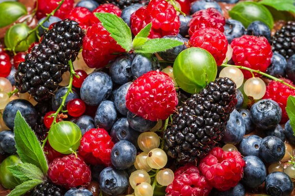 Colorful assortment of delicious berries