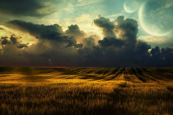 A field of wheat and a beautiful sky