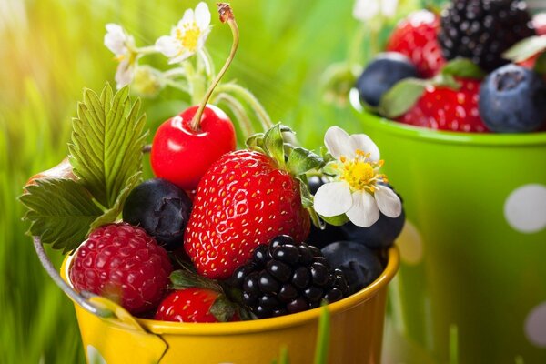 Berries in colorful buckets