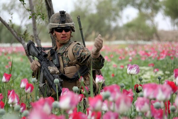 Militaire américain dans un champ de fleurs