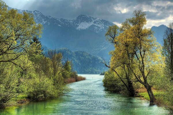 A river among forests and mountains