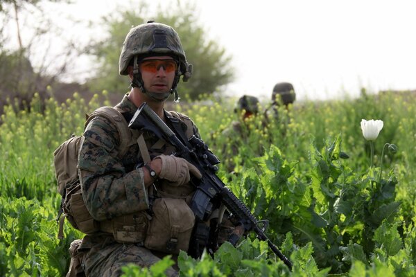 American military in a green field