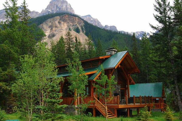 A house in the forest among the mountains in the summer