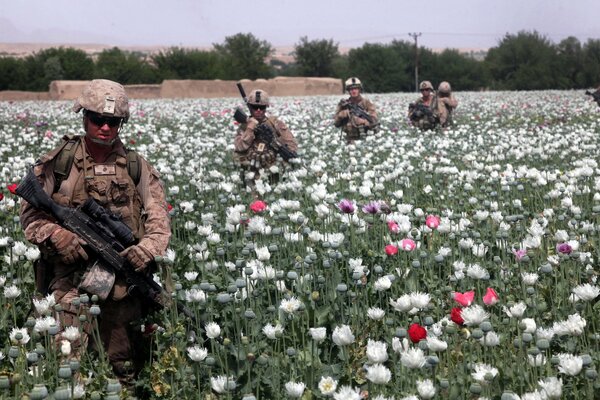 Soldados en el campo con armas en colores