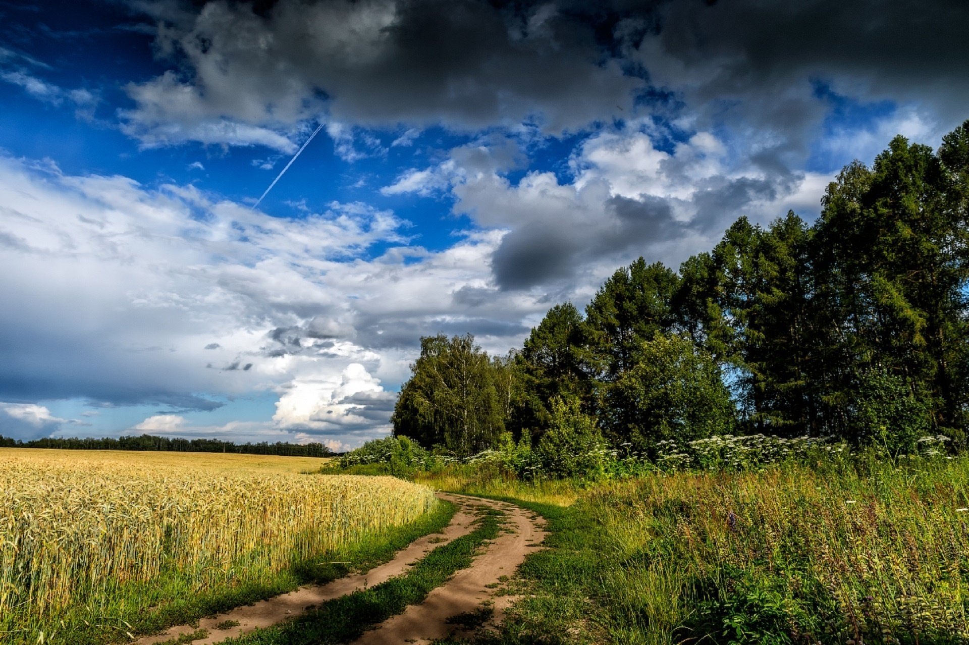 julia lapteva carretera espiguillas verano cielo nubes campo centeno rusia nubes