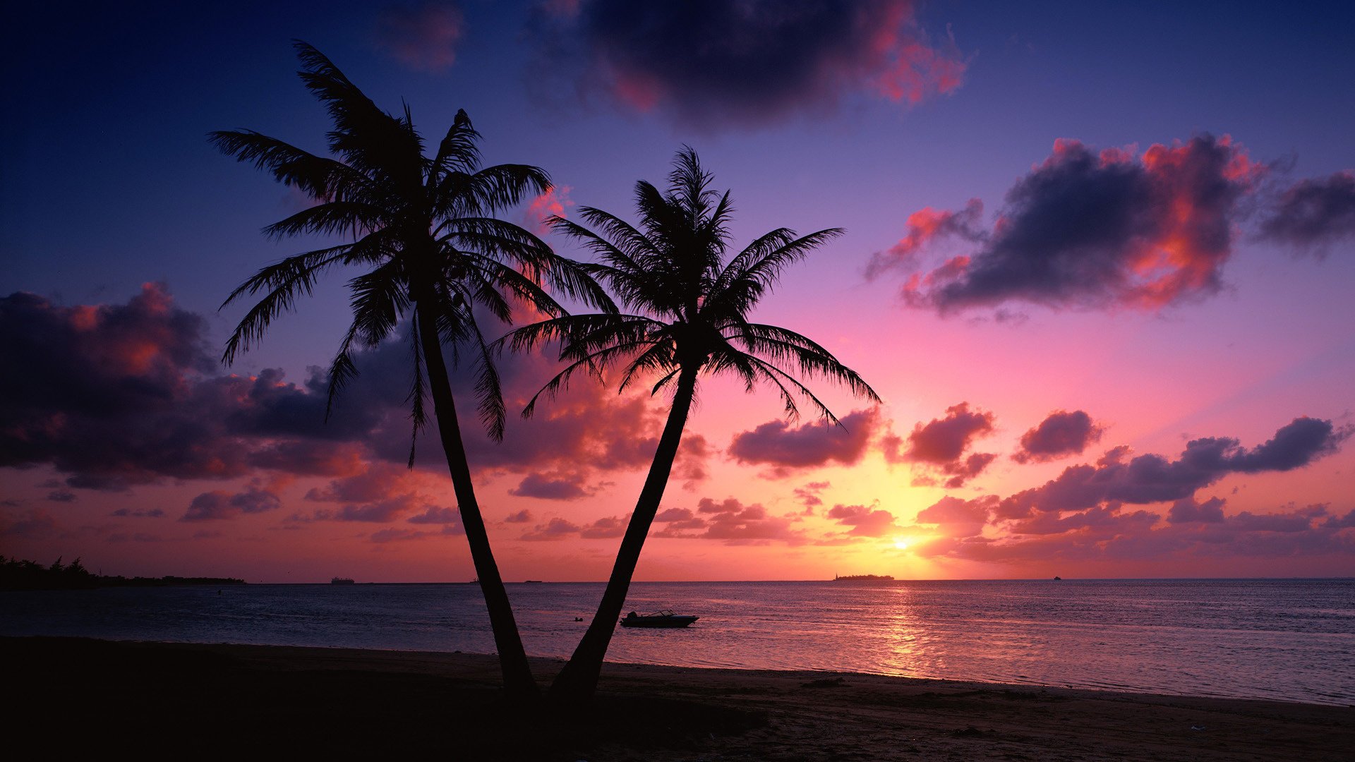 landscapes beach coast landscape palm trees the evening sunset sea cloud