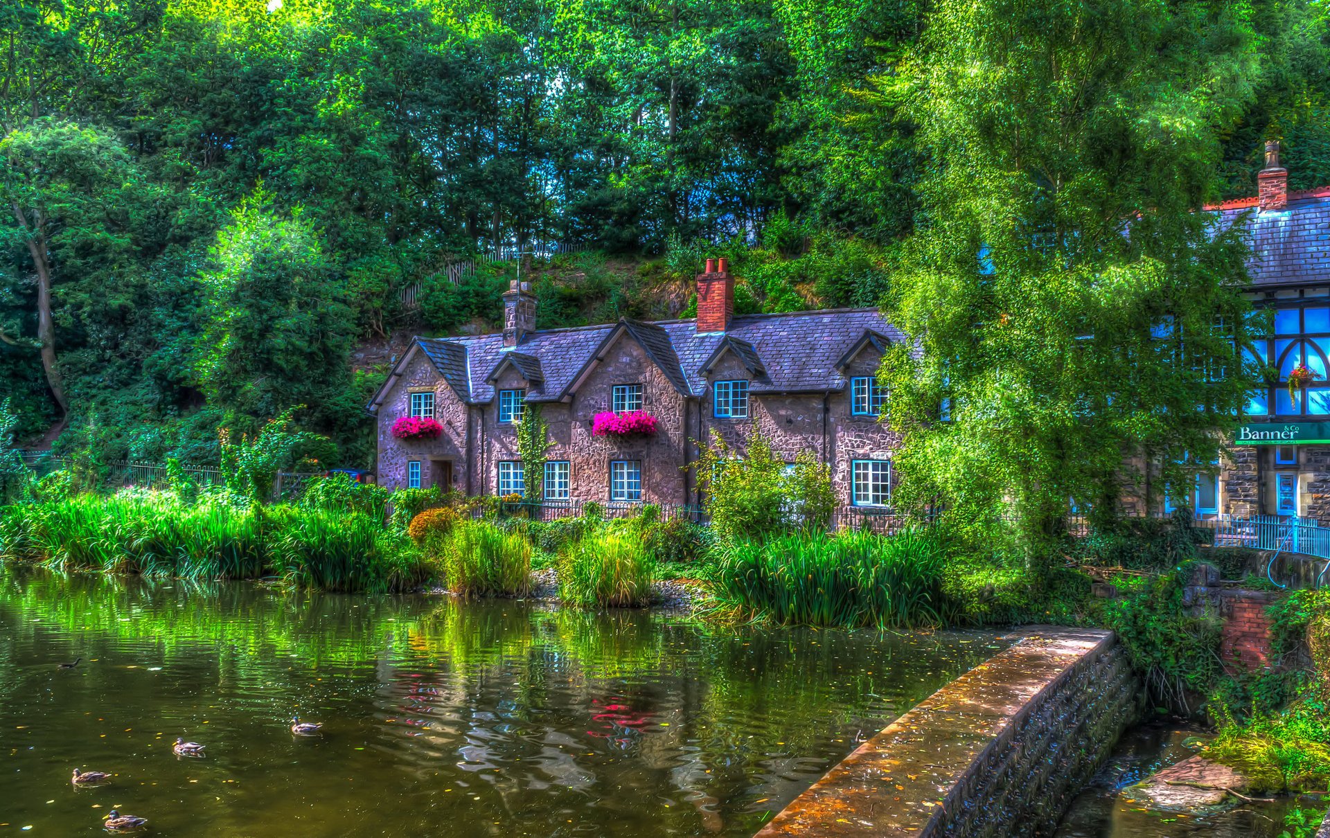 lymm inglaterra casa estanque patos verano hdr árboles ciudad