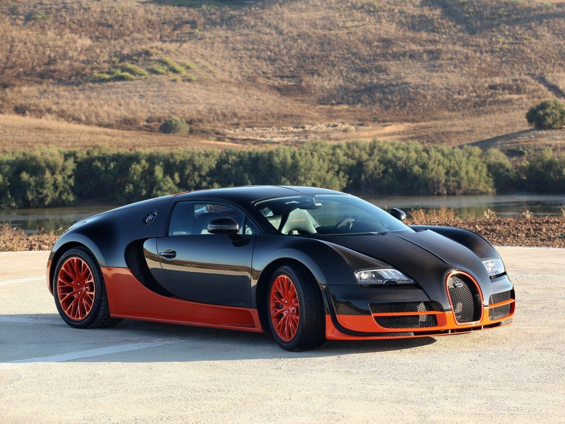 bugatti veyron carbonio