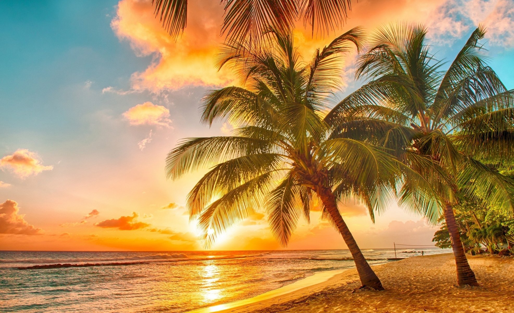 natura estate tropici palme spiaggia oceano cielo tramonto