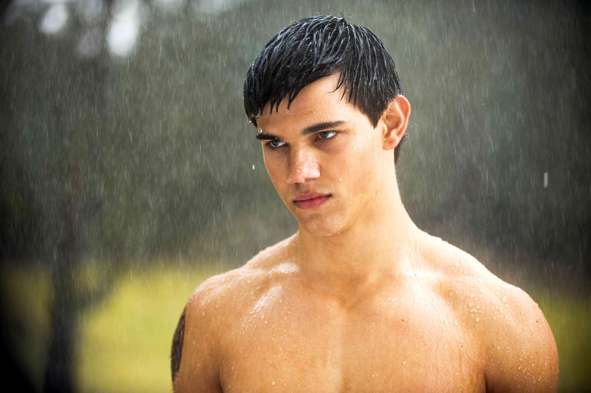 jacob taylor lautner księżyc w nowiu zmierzch