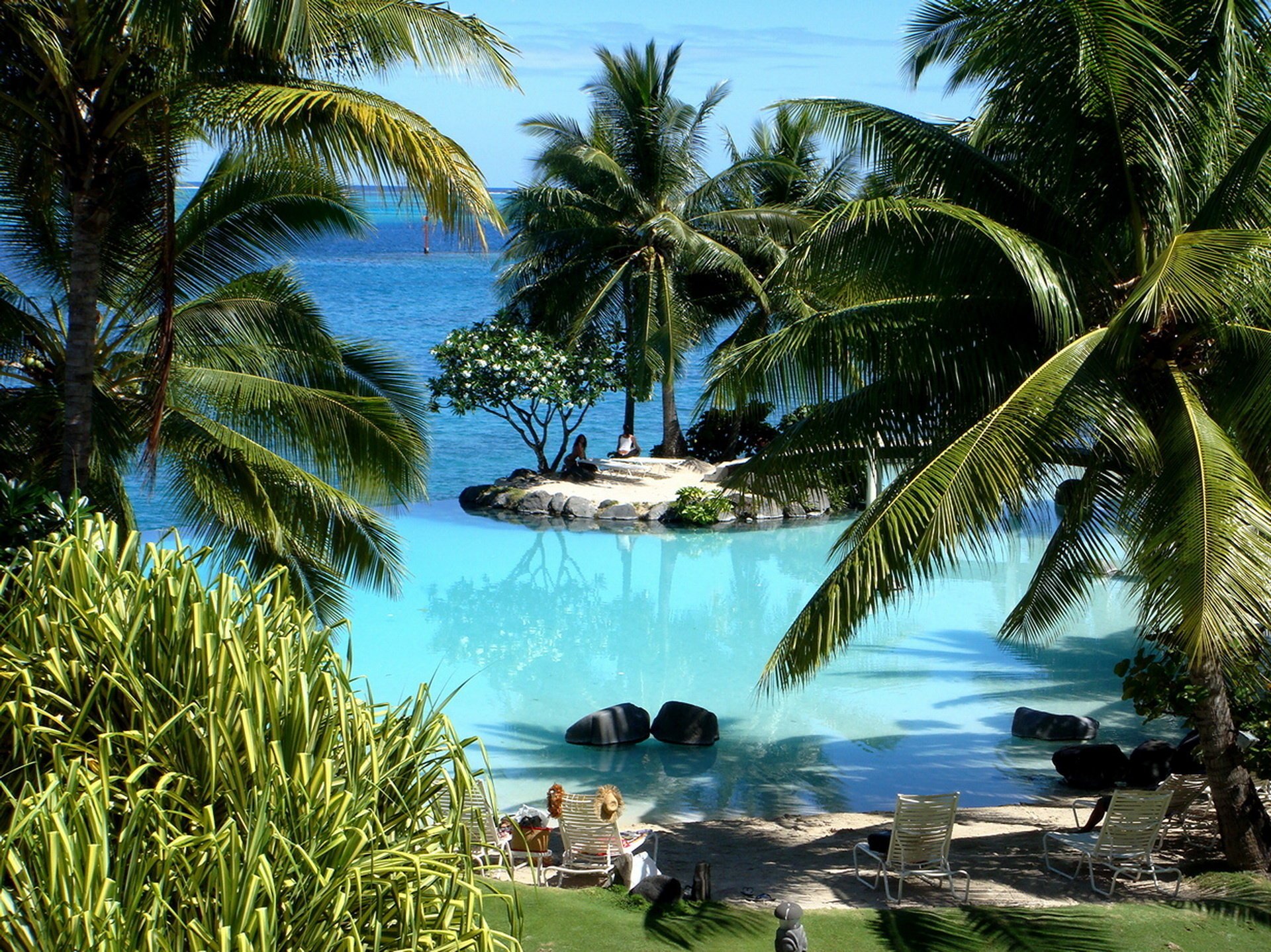 the island of tahiti island the ocean palm trees laguna beauty