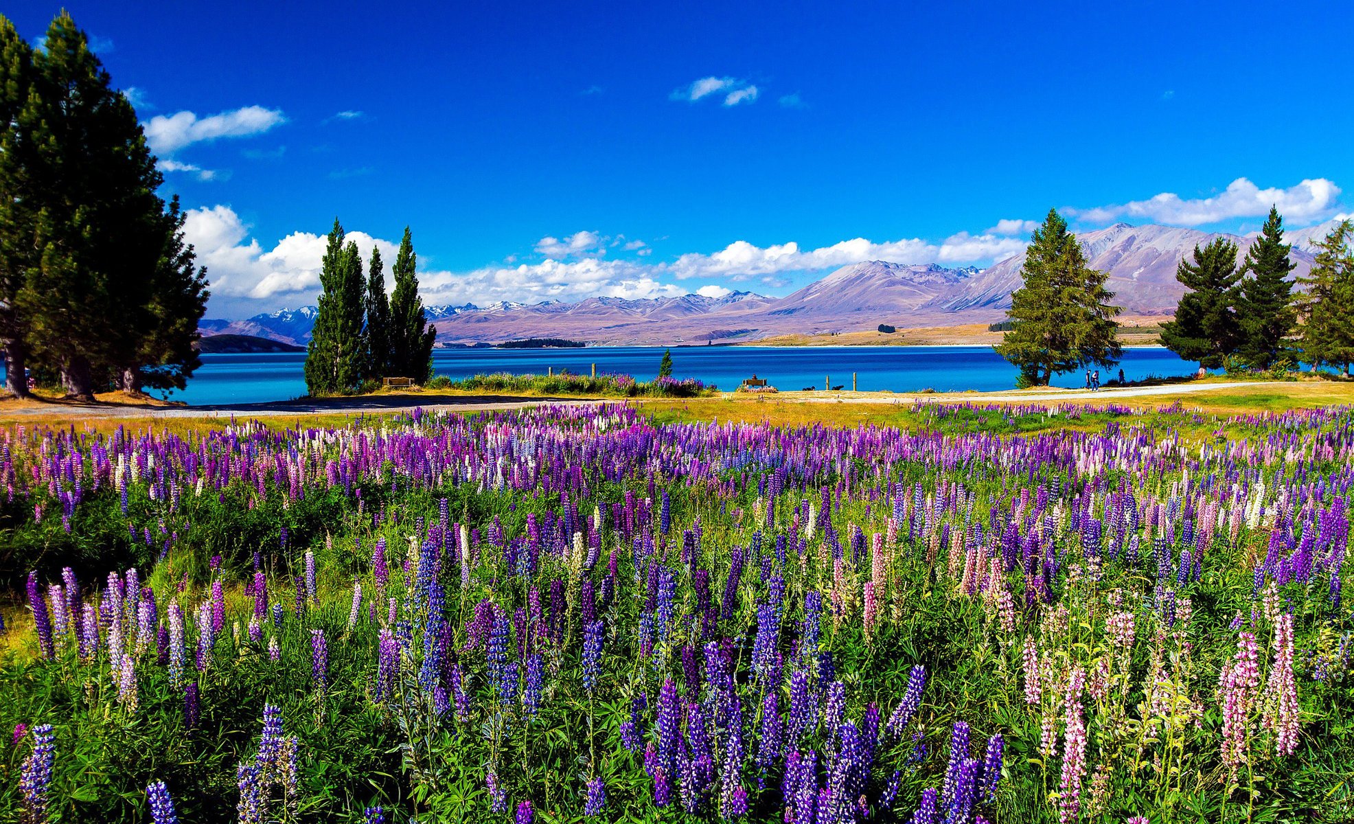 fingerhut landschaft fluss felder himmel natur