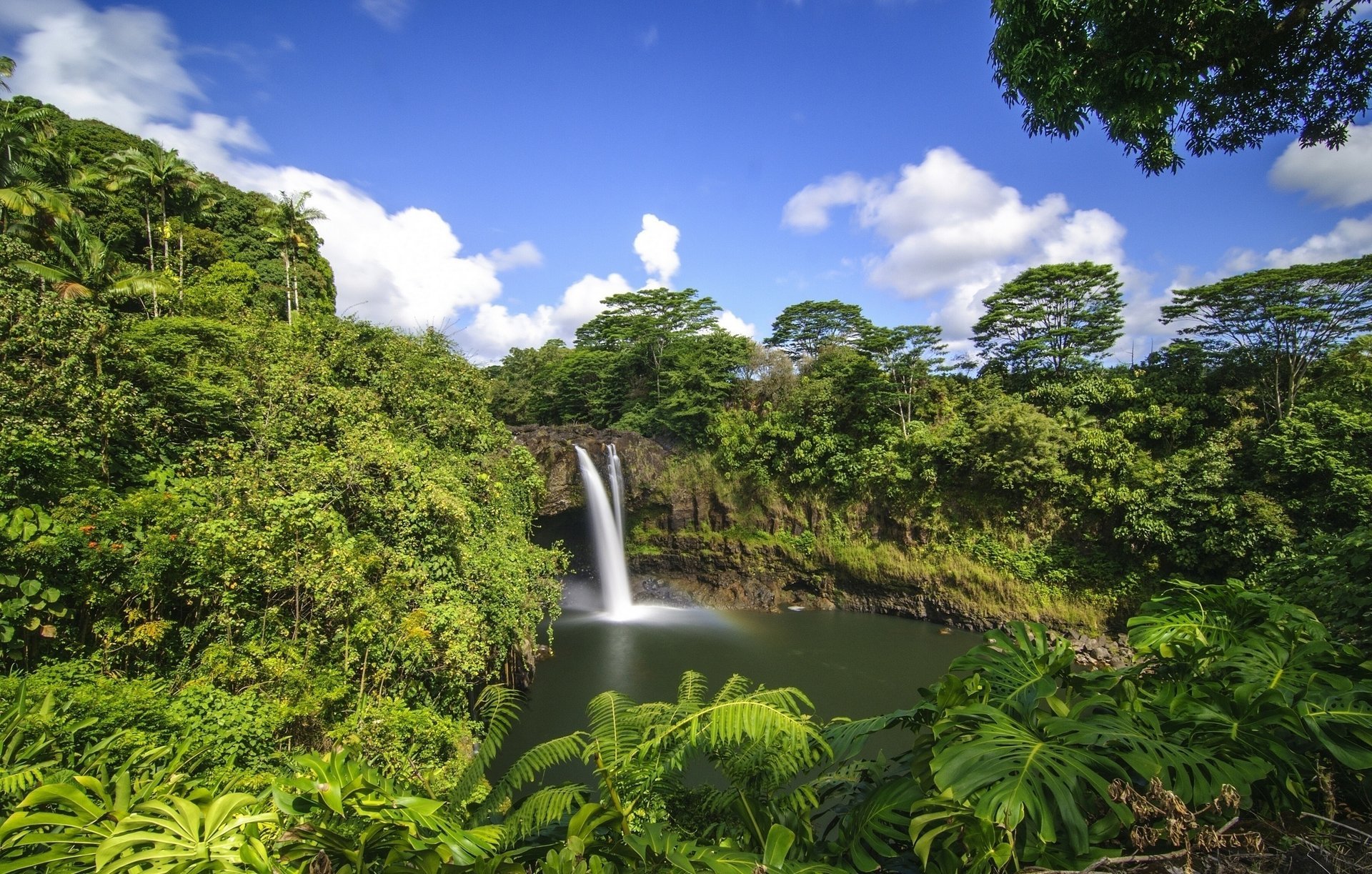 nature waterfall jungle water lake beautiful the sky clouds palm trees tropic