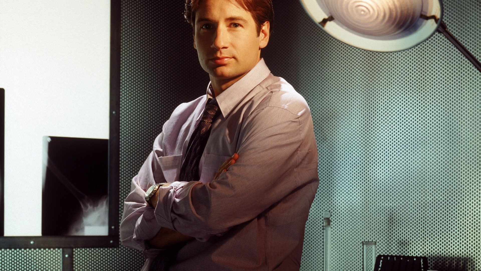 the x-files von fox mulder david duchovny