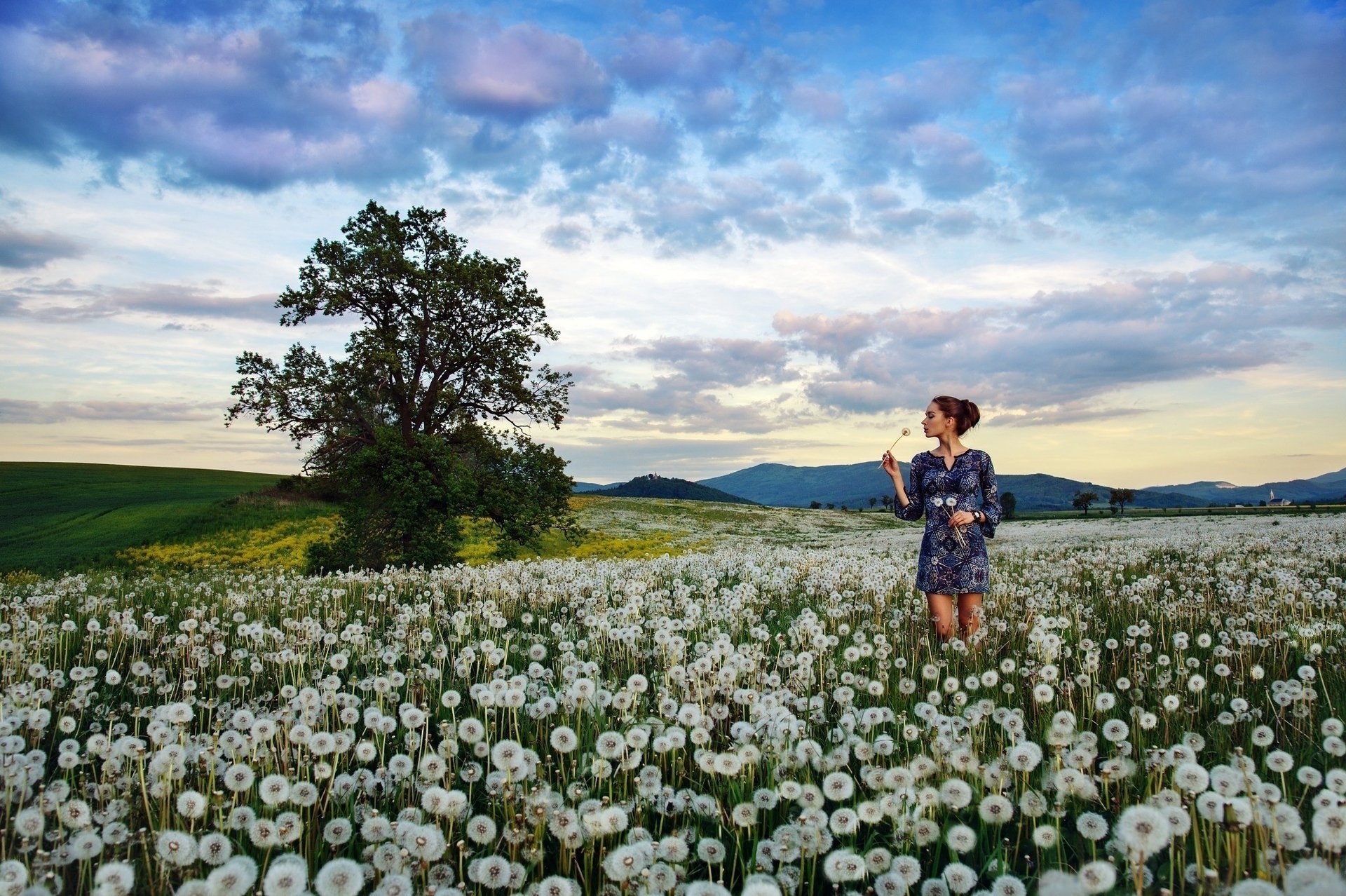 girl nature summer dandelions beautiful