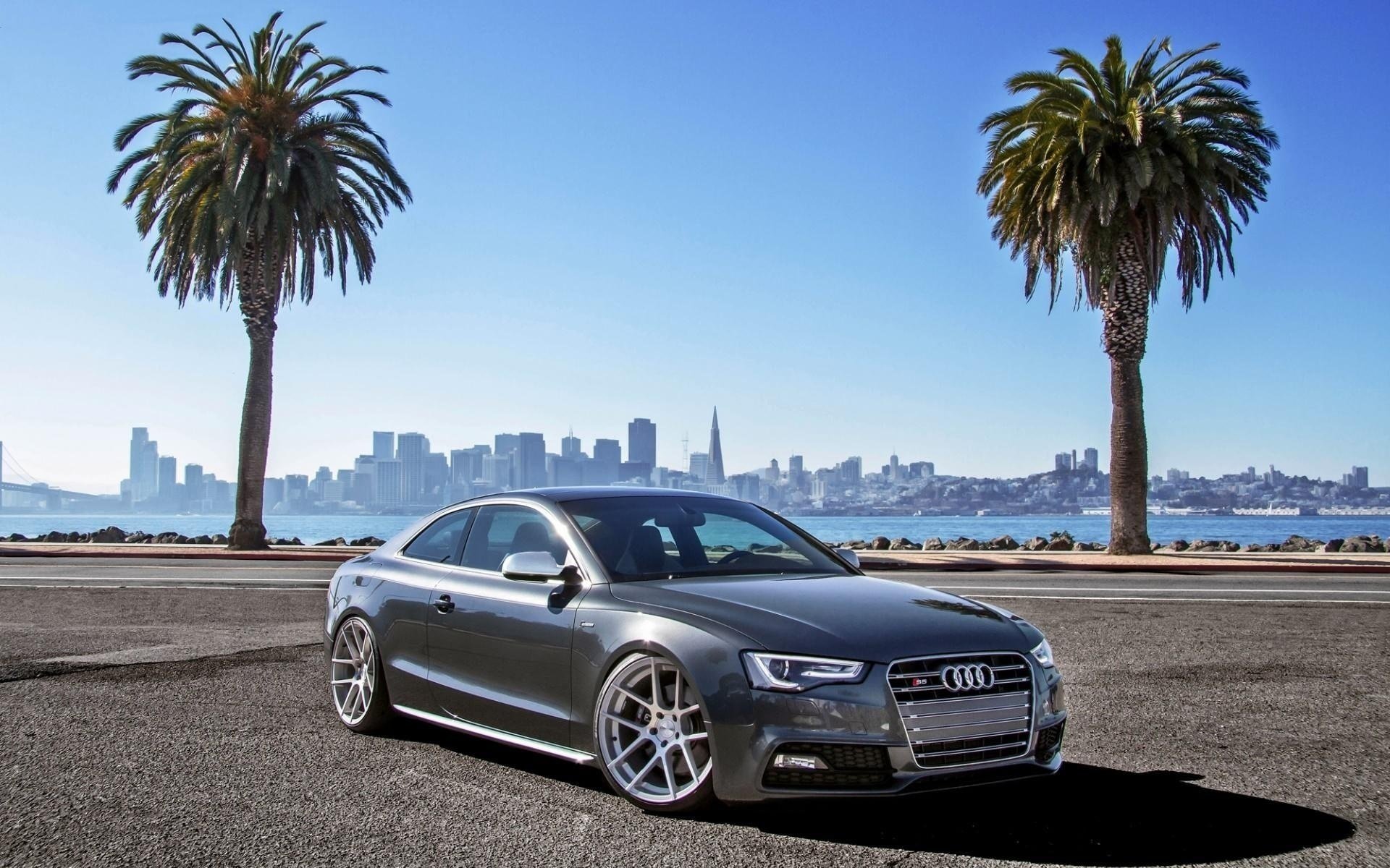 parkplatz audi supercar foto palmen stadt