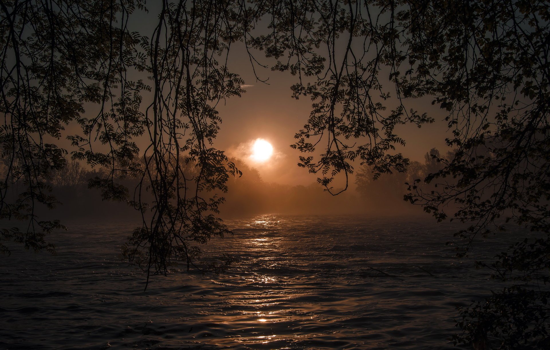 rivière soleil nature branches coucher de soleil