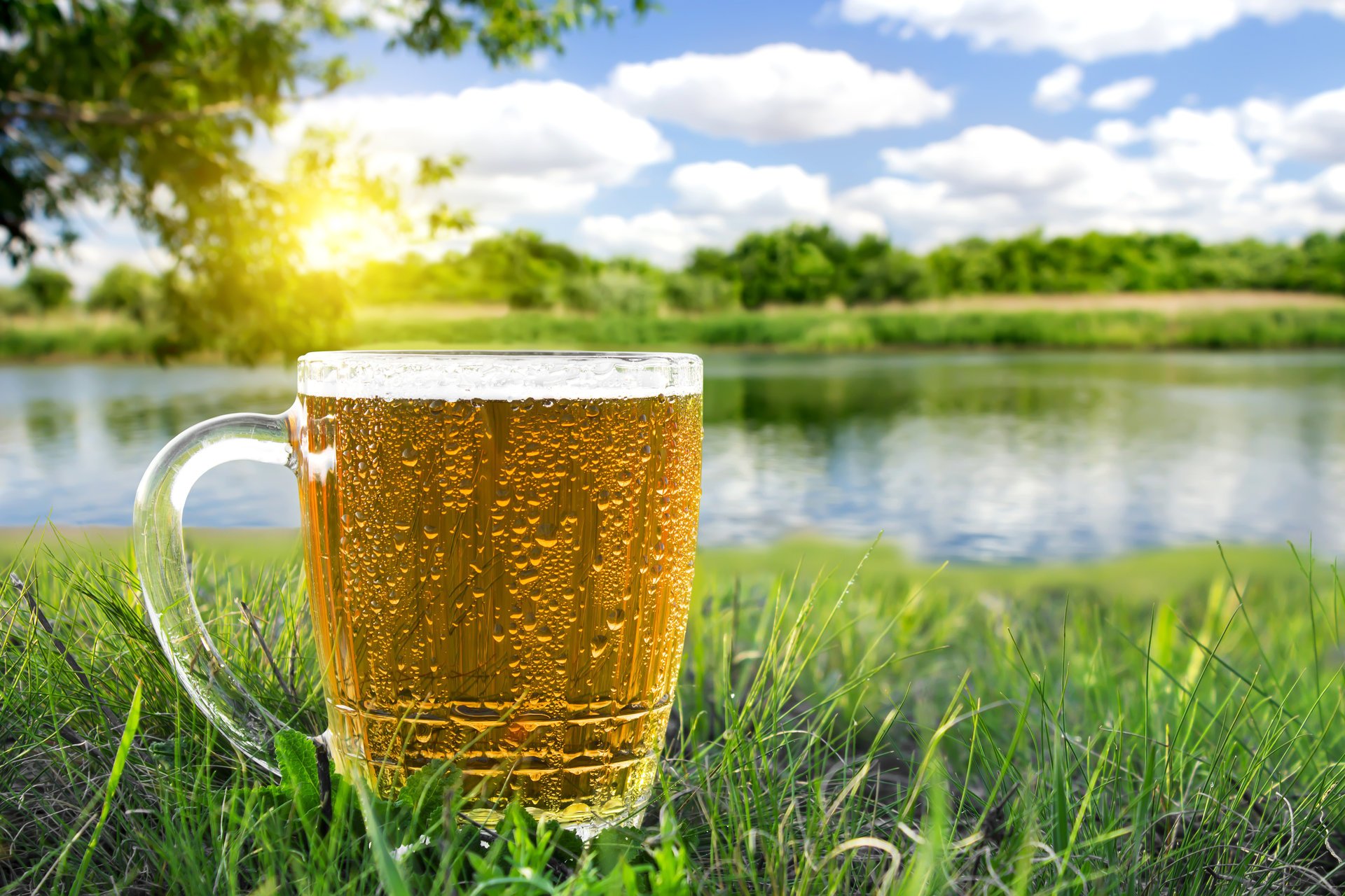 glass beer macro nature summer heat river