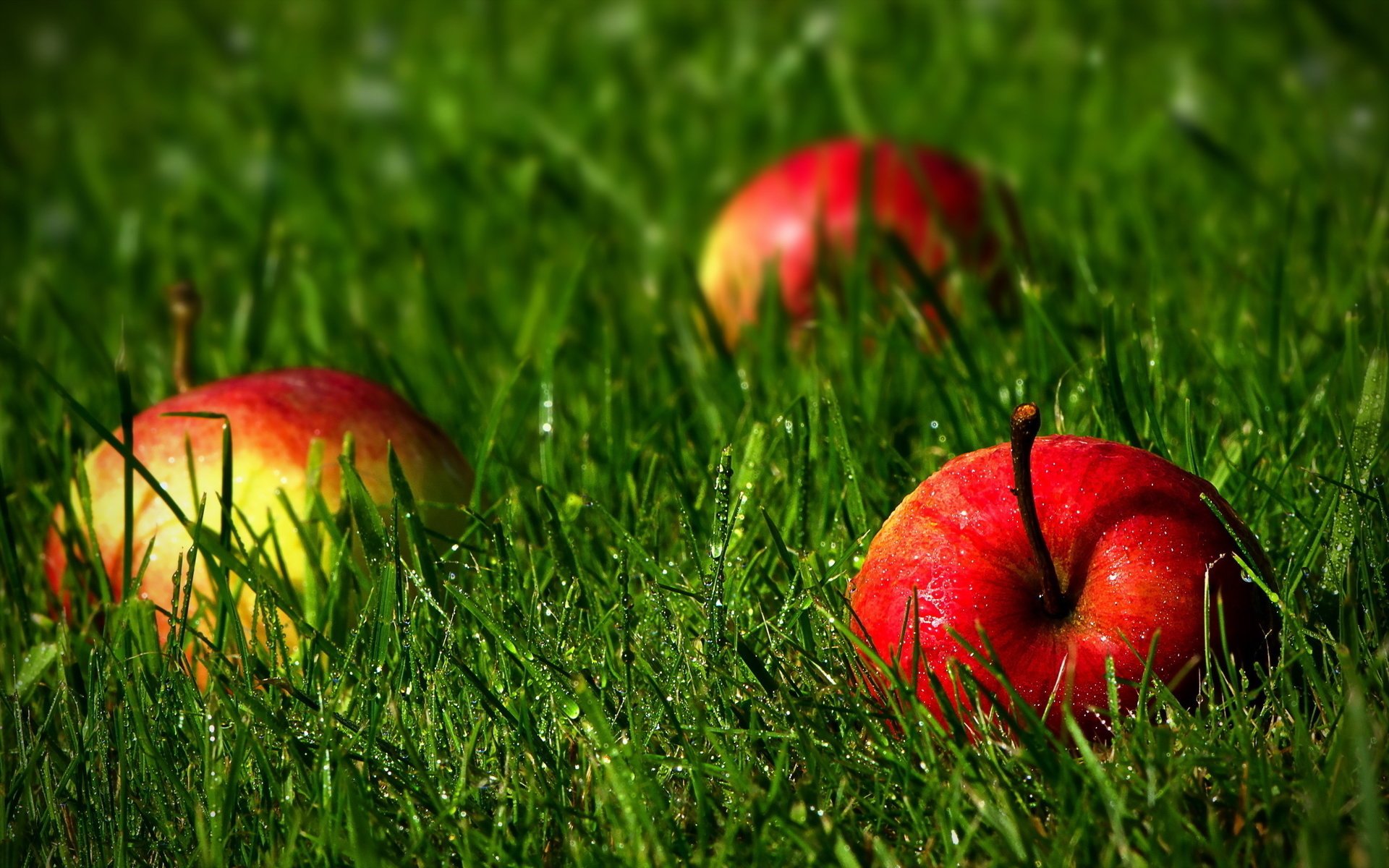 manzanas frutas hierba gotas