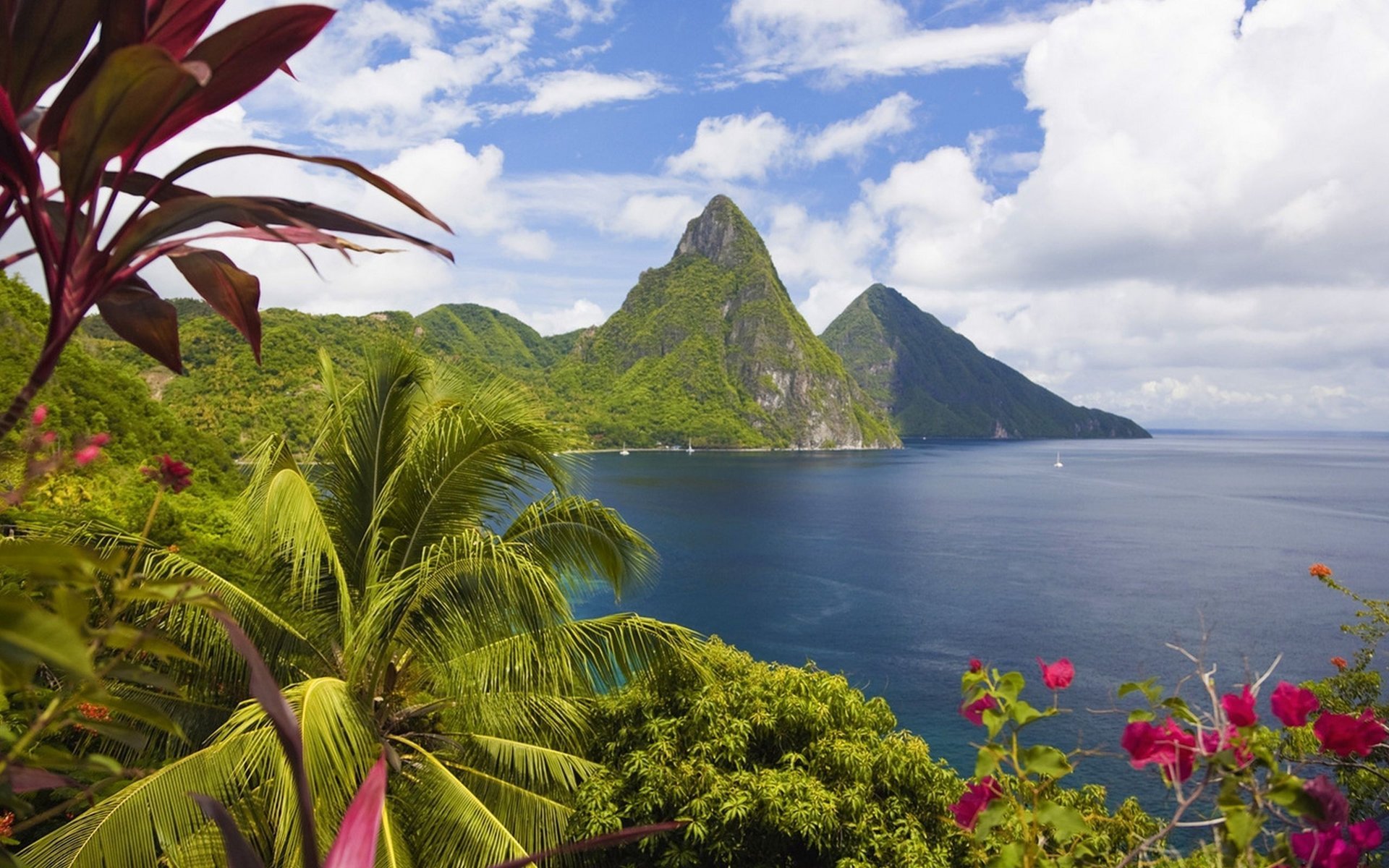 caribbean islands landscape the ocean palm trees mountains coast