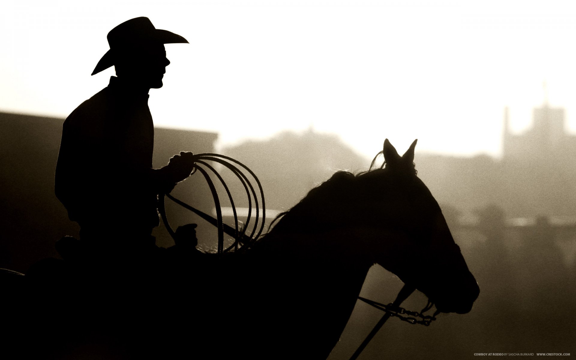 silhouette cowboy lazo