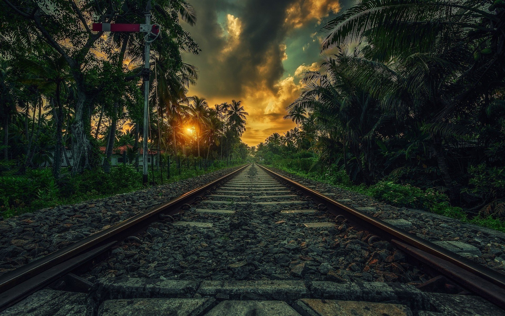 ferrovia ferrovia struttura superiore del percorso controrotaia passaggio a livello percorso rotaie resort palme tramonto bellissimo