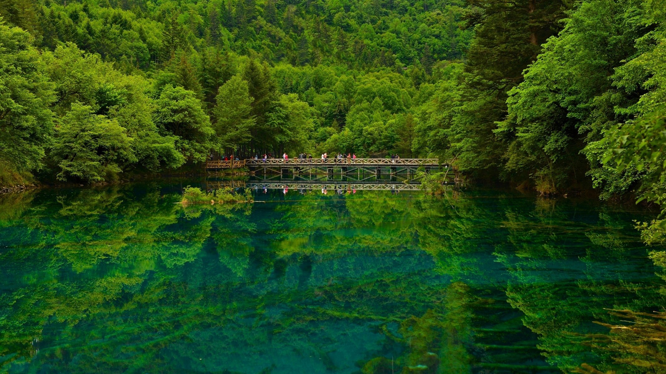 jiuzhaigou sichuan china lake bridge forest nature