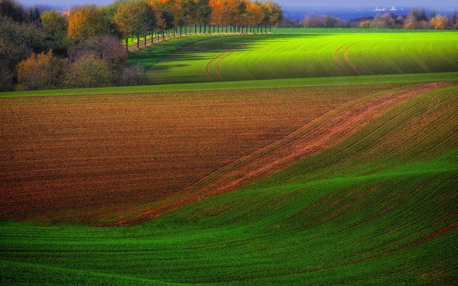 campo verano