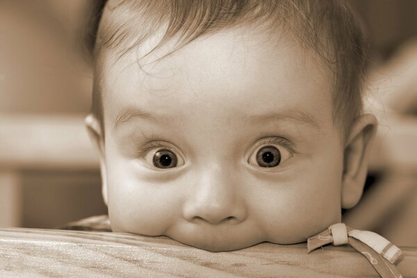 The surprised look of the kid who saw the sweets