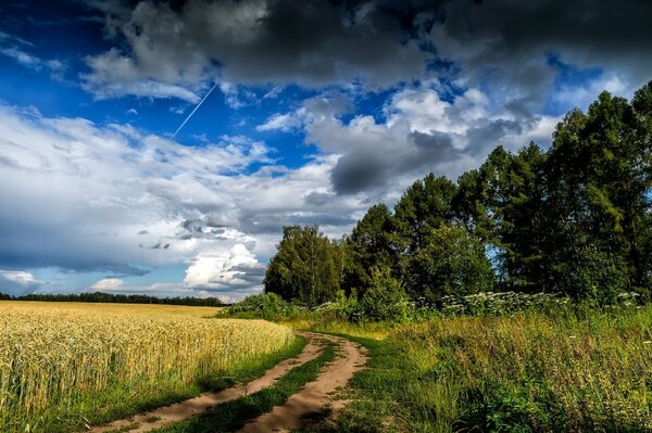 Hermoso cielo en verano en el campo