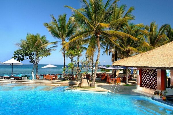 Beautiful palm trees on the island blue sky summer