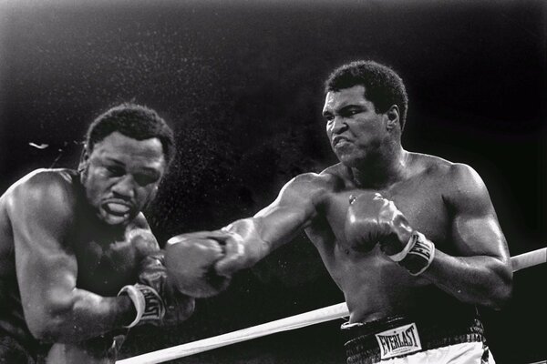 Historischer Kampf von Muhammad Ali und Joe Frazier