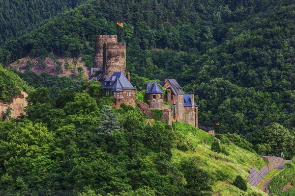 En Alemania hay un gran castillo en el bosque