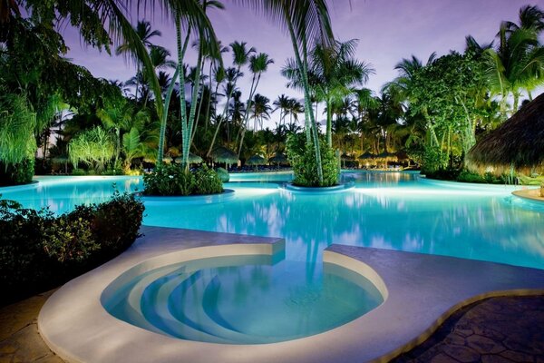 La piscina parece océanos entre hermosos árboles