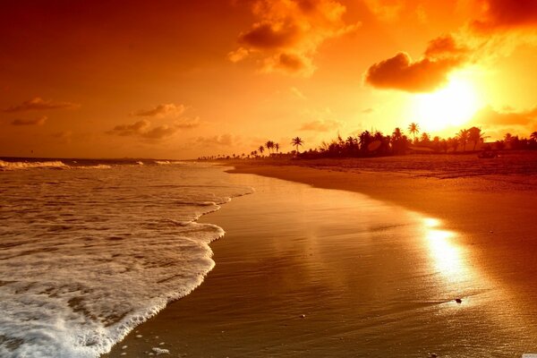 Sandy seashore at sunset