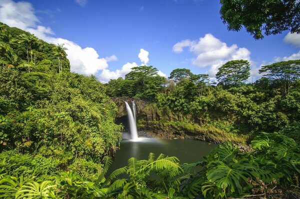 I want to go to the jungle and stand under a waterfall