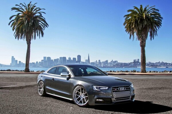 Audi supercar on the background of palm trees