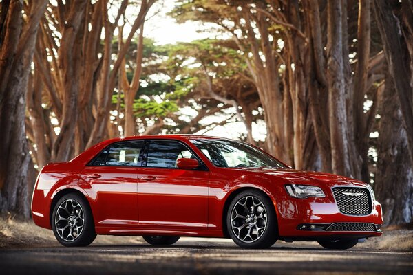 Red Chrysler in the woods side view