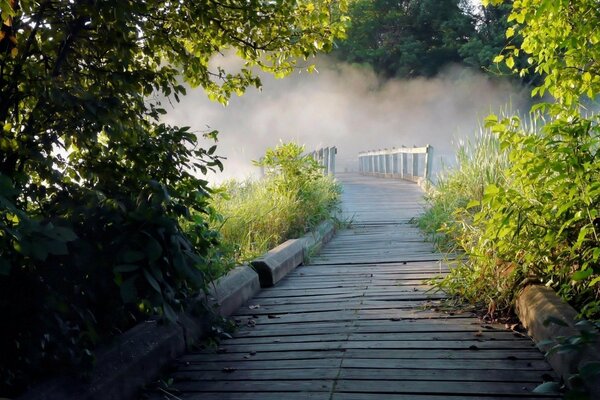 Brücke im Sommer im Nebel