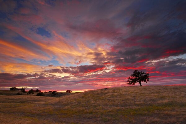 Coucher de soleil californien sur les étendues de la Californie