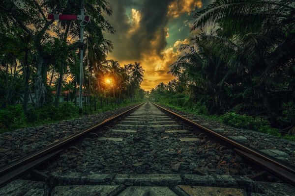 Die Eisenbahn fährt in den Sonnenuntergang